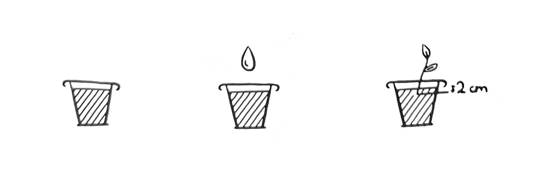 Gazdovský substrát na výsev a množenie davkovanie3_tiny